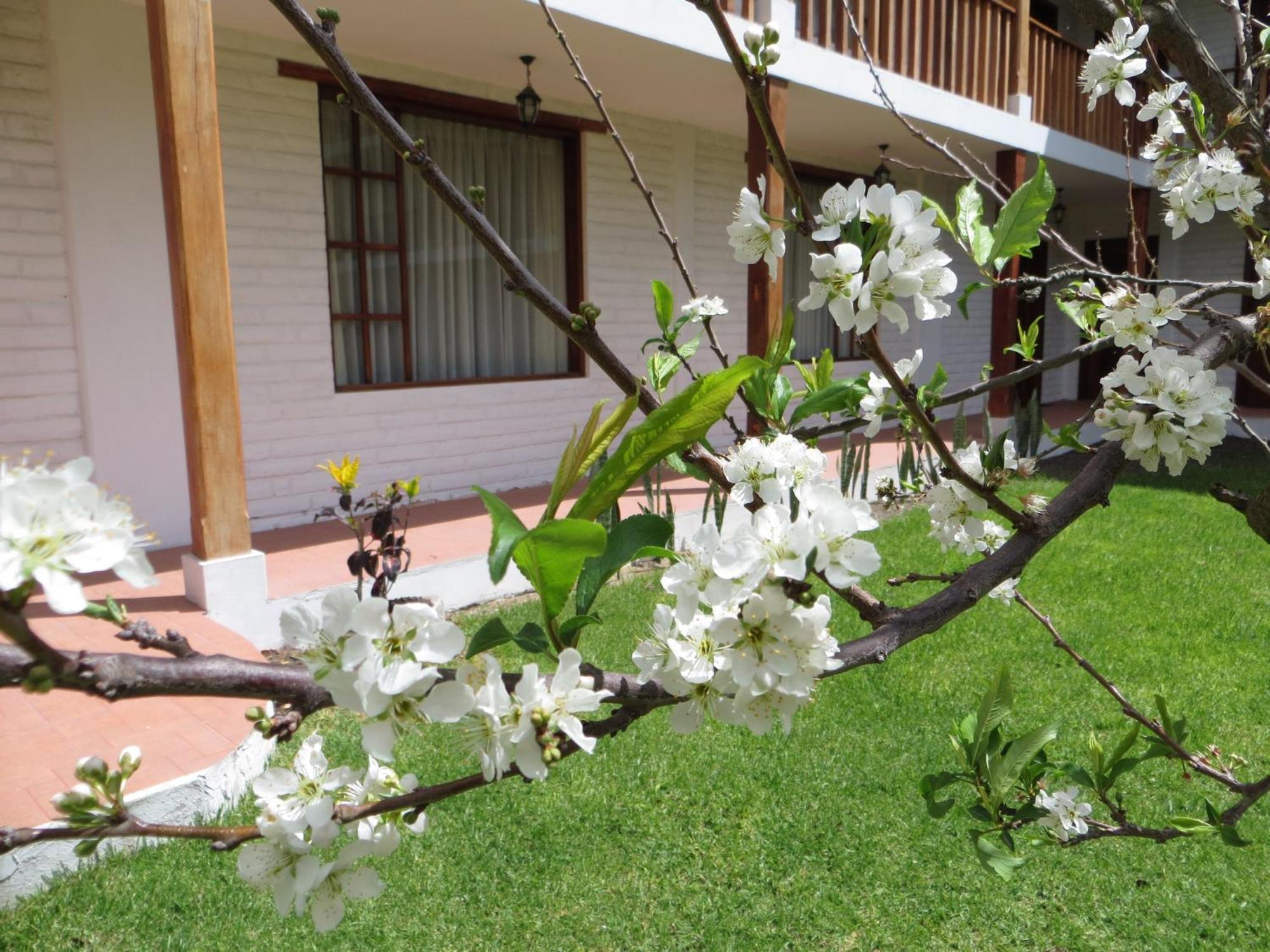 La Quinta San Andres 호텔 이바라 외부 사진