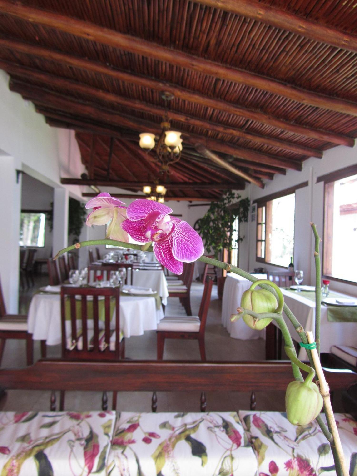 La Quinta San Andres 호텔 이바라 외부 사진